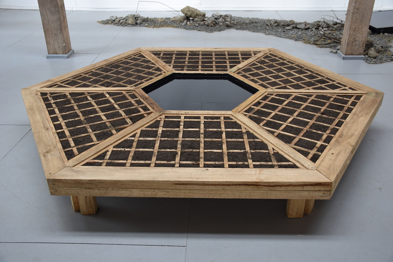 La obra constituye un espacio de sobrevivencia autónomo en sí misma en constante crecimiento durante el período de exhibición, sabiendo que la paciencia y el tiempo, el agua y la tierra, son lo único necesario para cultivar arroz. / Madera, arcilla, semillas, agua, equipos de infusión hídrica. 29A_A.R -4.JPG